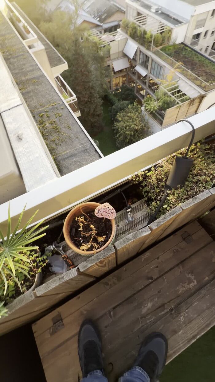 Toit-terrasse, jardinières bois à reprendre