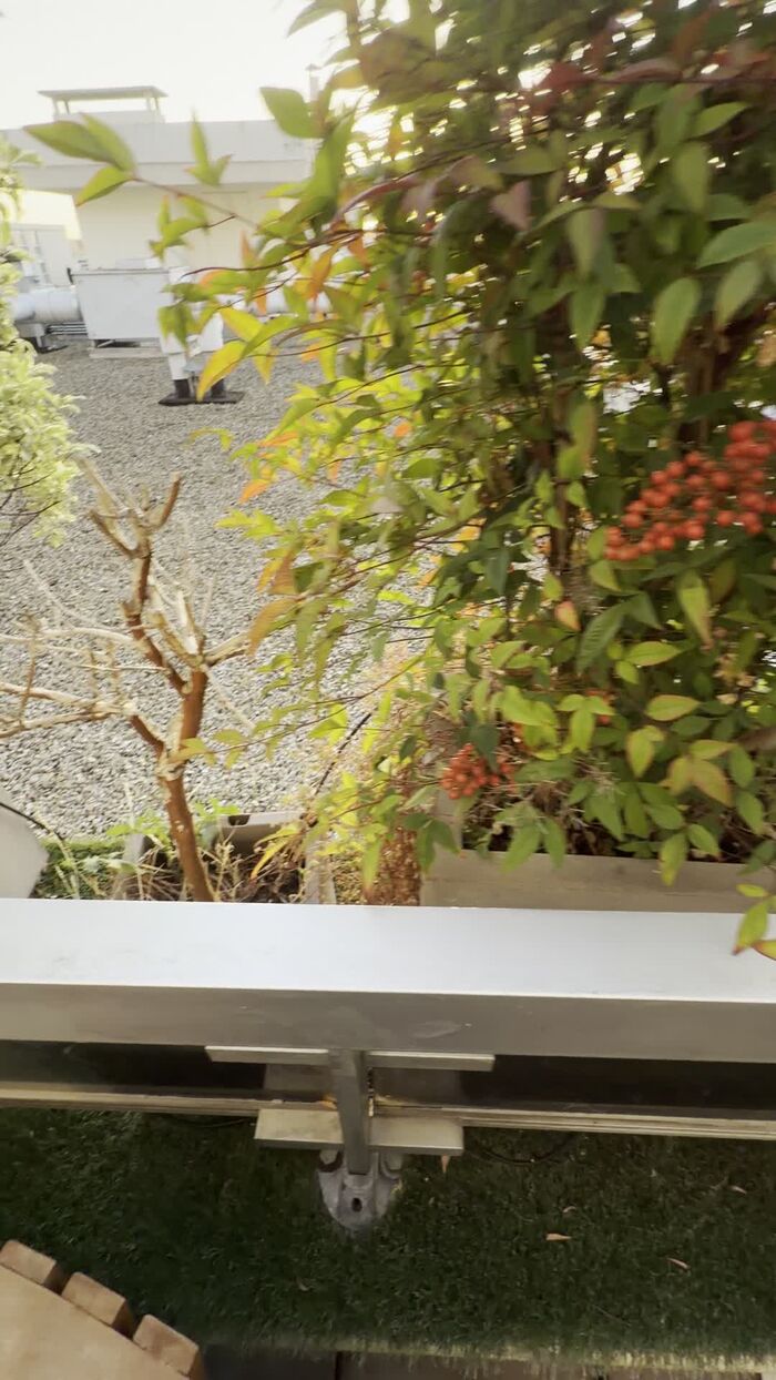 Bacs inox de toit-terrasse